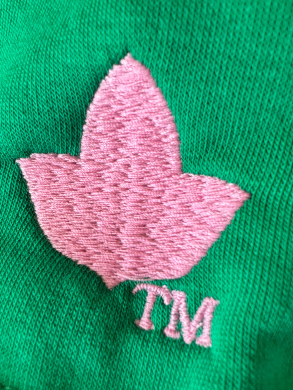 AKA Pink & Green Pullover Hoodie - Martha's Vineyard 1908 - Picture 7 of 14